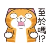 白爛貓 聖誕魔幻樂園)(New) 14
