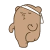 Grizzly pop up 17