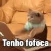 Memes -H 5