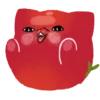 Gato tomate 14