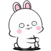Lovely Rabbit 4B 14