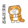 白爛貓 聖誕魔幻樂園)(New) 16