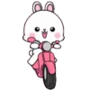Lovely Rabbit 4A 14