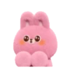 Bunny 15