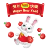 CARRIE CNY STICKERS 2023 5