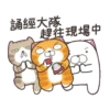 白爛貓 聖誕魔幻樂園)(New) 20