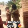 Gaddaari Karbe?