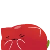 Gato tomate 19