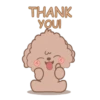 @Mycute_stickers Brown puppy andie 17