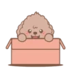 @Mycute_stickers Brown puppy andie 18