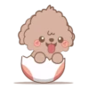 @Mycute_stickers Brown puppy andie 19