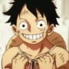 one piece textos mov 24