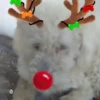 Renos Navidad Mov 25