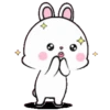 Lovely Rabbit 4B 17
