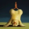 YOGA CHICKS 10