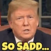 TRUMP BRUH 5