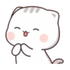 Kucing gemoy 7