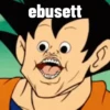 Dragonball 9