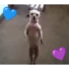 BAILES RANDOM 7