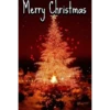 Christmas Pack 6