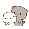 Kucing gemoy 22
