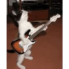 Cute cat 7