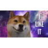 Dog Animated 27
