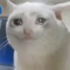 Animados pa enviar 8🤣🤯 5