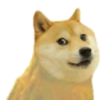 Dog Animated 12