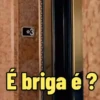 Novos Memes🤪 11