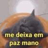 Reações e pets 😍 6