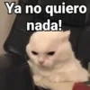 😻Gatitos con Frases🧶 27