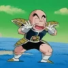 Dragonball 6