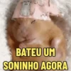 Reações e pets 😍 10