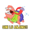 SINI LU ANJING!!