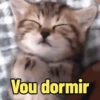 Memes divertidos😎 12