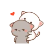 Kucing gemoy 20