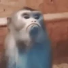 Reações para você 11