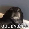 FOFOQUEIROS DE PLANTÃO 🗣 5