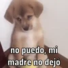 NO PUEDO  11