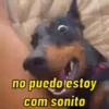 NO PUEDO  6