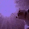 Funny Reactions 8