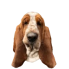 MEME REACTIONs 9