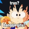 Dragonball 13