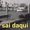Reações e pets 😍 15