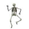 Calavera bailando Movi 7