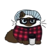 😸Meow😻 11