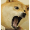 Dog Animated 24