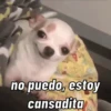 NO PUEDO  5