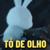 BOLA DE NEVE🐰 9